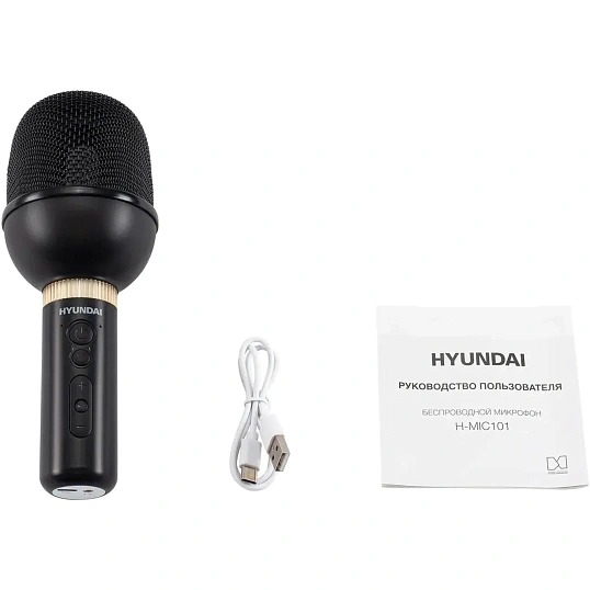 Микрофон Hyundai H-MIC101, черный, беспроводной