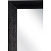 Зеркало МГЛ_настенное Комус Мебель НБ72 (600x1200) багет ПЛС черный
