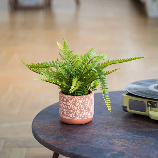 Растение Цветок искусственный Папоротник керам горшке, Д120 Ш120 В420,Mia12