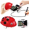 Конструктор ND PLAY Робот - божья коровка 284380 NDP-074