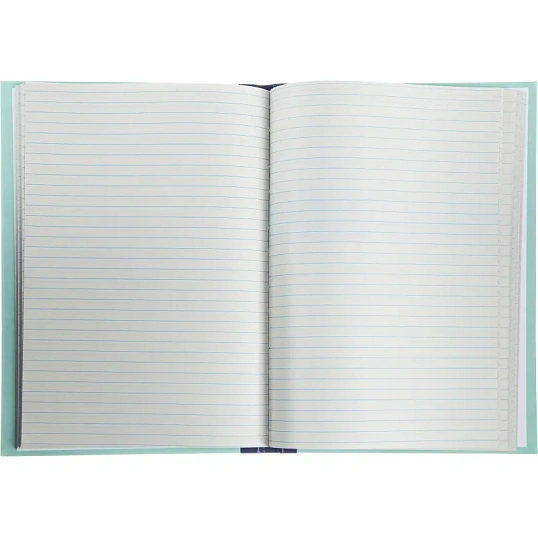 Книга учета амбарная в линейку 96л.обл.плотн.картон г/б