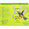 Подарочный набор 542 Jungle Green JAMAICA Шампунь250+Гель д/душа250 Колибри