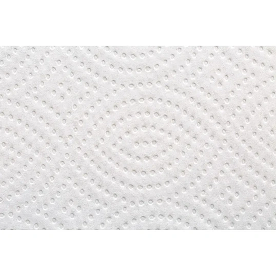 Бумага туалетная д/дисп Premium V-сл 2сл бел 250л 15пач/уп 5083735 п/э