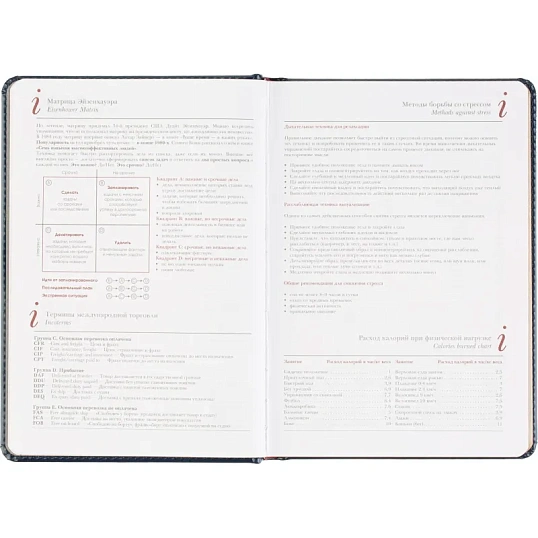 Ежедневник датированный 2026 А5+ SIDNEY NEBRASKA синий, зол обрез 3-125/04