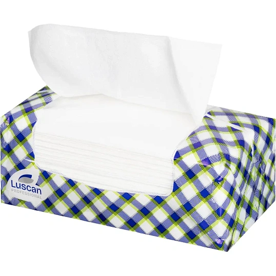 Полотенца бумажные листовые Luscan Professional 2-слойные 200 лист / уп