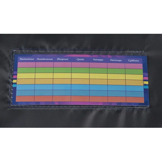 Ранец Basic Единорог, 2 отд., эргоном. спинка, экокожа