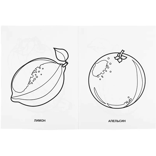 Раскраска Фрукты и овощи.215х290мм. Объем: 16 стр. Умка , 978-5-506-00827-9