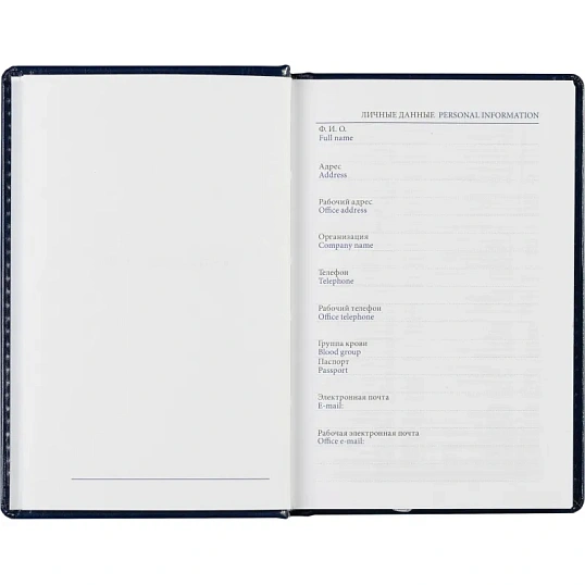 Ежедневник недатированный синий, А6,100x150, 320стр, Agenda