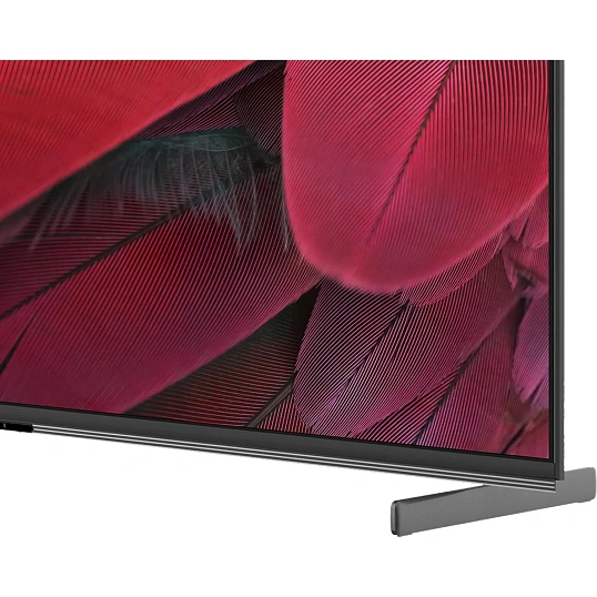 Телевизор Skyworth 55X85G, UHD Mini-LED Smart c функцией Караоке
