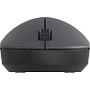 Мышь компьютерная беспров. Xiaomi Wireless Mouse Lite 2 черная GL BHR8916GL