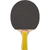 Ракетка для игры в пинг-понг Ecos PPR-02, 323107