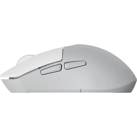 Мышь компьютерная RAPOO беспр. M308-GR серый (13180)