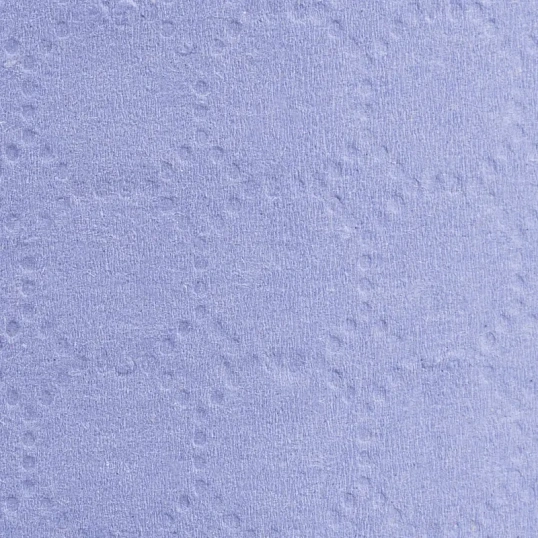 Бумага протирочная Luscan Prof 2сл 200лx1рул/уп 52м голубая