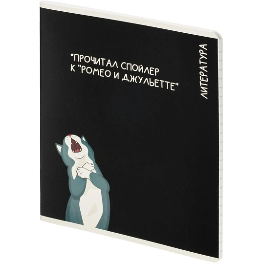 Тетрадь предметная КОТЫ МЕМЫ, набор12 шт.48л,А5+, клетка/линия/71449