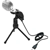 Микрофон Ritmix RDM-127 USB Black