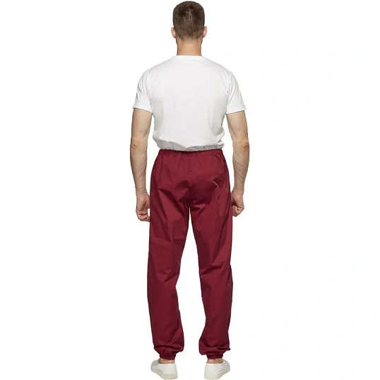 Брюки для пищевого производства бордо универс.сат у17-БР (р.56-58)р.158-164