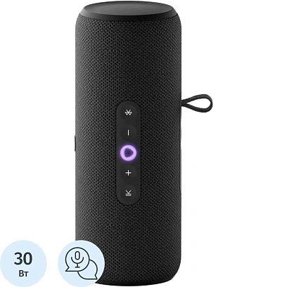 Умная колонка Яндекс Станция Стрит с Алисой, чёрный (YNDX-00030BLK)