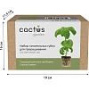 Набор питательных губок Cactus CS-SPONGE-20 для проращивания 20шт/уп