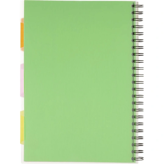 Бизнес-тетрадь 140л,кл,А4,SPIRAL BOOK Салатовый,евросп,обл.пл,раздел.84102