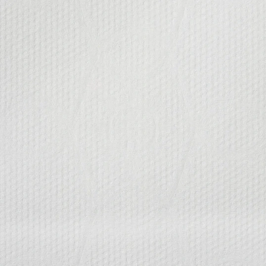 Полотенца бумажные д/дисп. Luscan Professional 2сл143м 6рул/уп