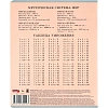 Тетрадь КЛЕТКА 12л. МИЛЫЕ КОТЯТА - 7  цвет. мелов.обл., асоорти 12-0912
