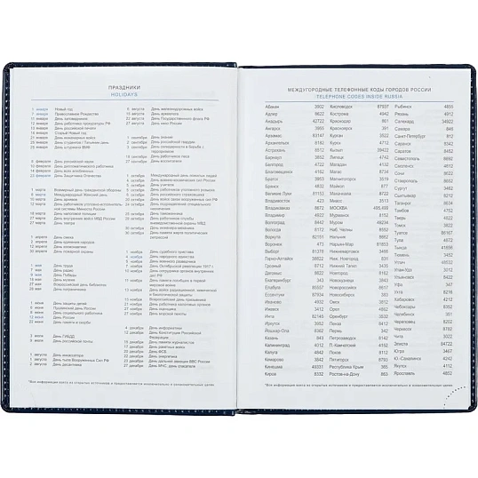 Ежедневник недатированный синий, А5, 148x218, 352стр, Agenda