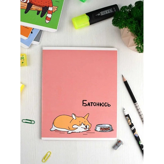 Тетрадь 48л, в ассорт.ГЕРОИ С ХАРАКТЕРОМ А5+,клетка,мягкий переплёт, 68535