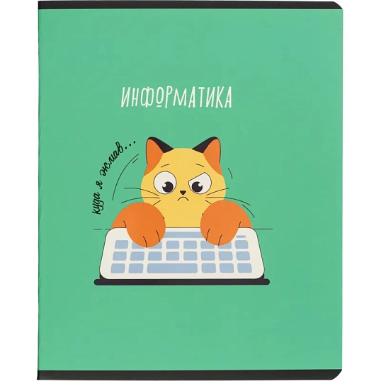 Тетрадь предметная набор Комус Класс  Котики 12 шт., 48., А5