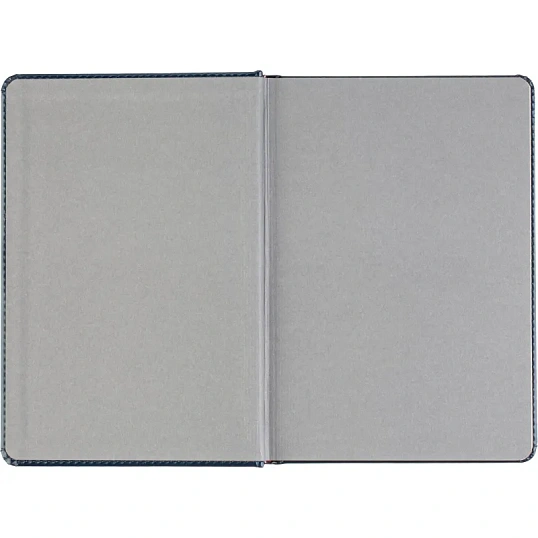 Ежедневник датированный 2026 А5+ SIDNEY NEBRASKA синий, зол обрез 3-125/04