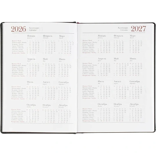 Ежедневник датированный 2026 А5+ VELVET черный 3-123/04
