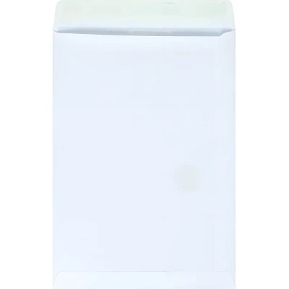 Пакет Белый B4стрип Businesspack250х353 120г 200шт/уп/5021