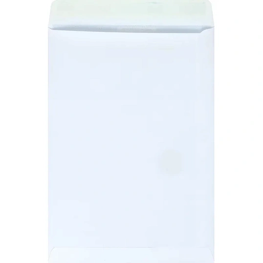 Пакет Белый B4стрип Businesspack250х353 120г 200шт/уп/5021