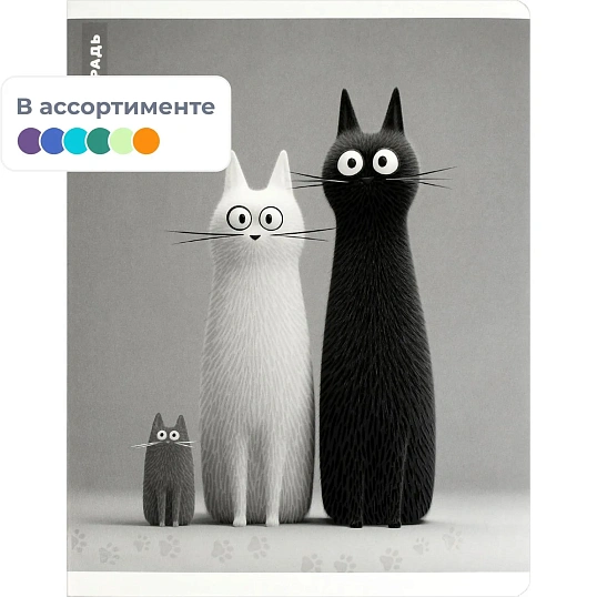 Тетрадь 48 л, клетка  ЧЕРНО-БЕЛЫЕ КОТЫ  А5+, в ассорт/70930