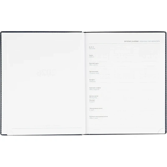 Еженедельник датированный 2026, синий,А4, 213х265 мм,160 стр,АТТАСНЕ Agenda