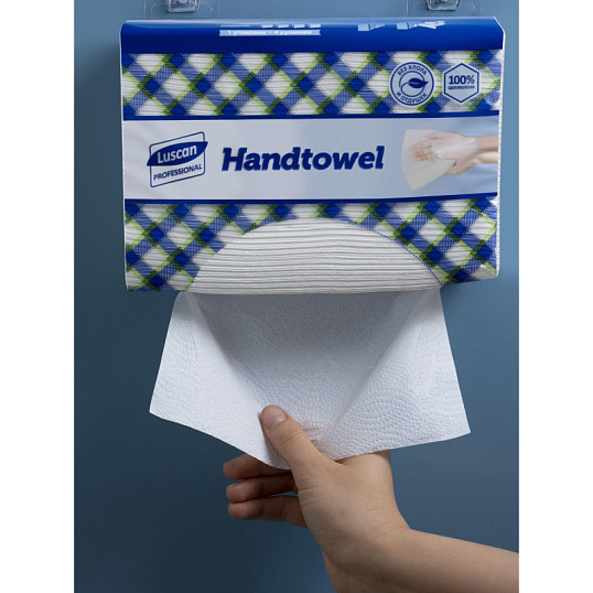 Полотенца бумажные д/дисп. Luscan Professional Zслож2слбелцел200л