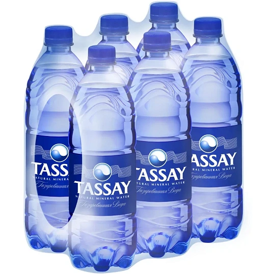 Вода питьевая TASSAY минеральная газ ПЭТ 1л