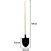 Лопата штыковая, 205х275х1400 мм, ребра жесткости, деревянный черенок