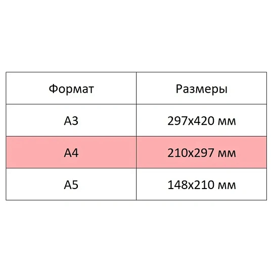Альбом для рисования Комус Класс Максики 40л А4 склейка обл.карт глянц.лам