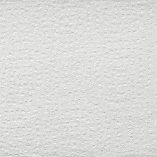 Полотенца бумажные д/дисп. Luscan Professional Zслож2слбелцел190л20пач/уп