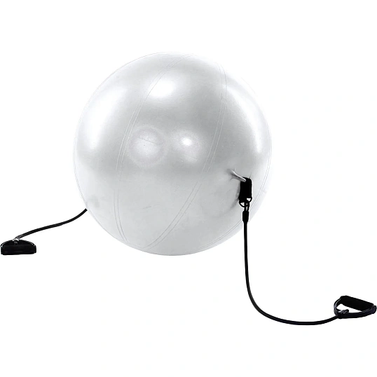 Мяч для фитнеса 'ФИТБОЛ-65 с эспандерами',SF 0216