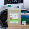 Гель для стирки 2 в 1 c пятновыводителем SYNERGETIC, 5л