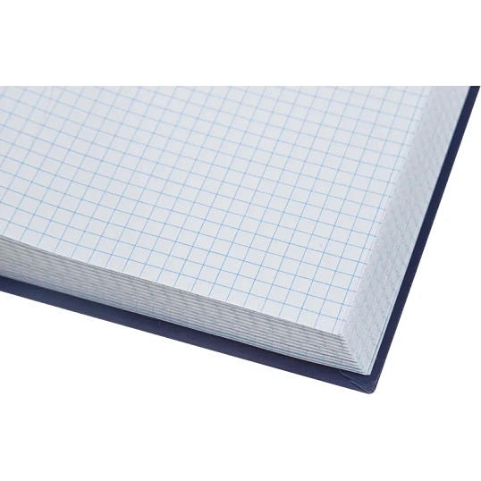 Книга учета 96л. в клетку офсет, обл.бумвинил синий