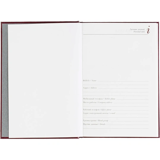 Ежедневник датированный 2026 А5+ IDEAL NEW бордовый 3-344/04