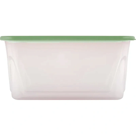 Контейнер для продуктов Sugar&Spice Honey 0,9л прямоугольный фисташка