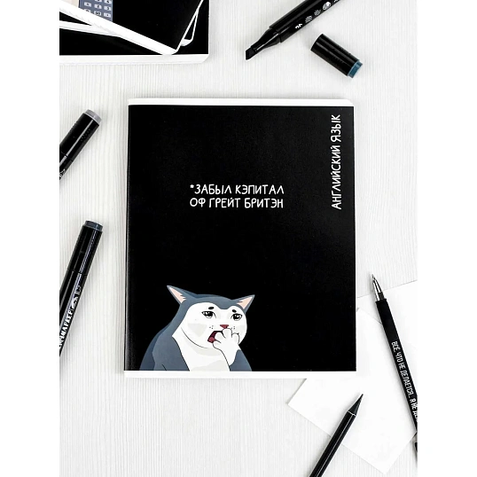 Тетрадь предметнaя АНГЛИЙСКИЙ ЯЗЫК'КОТЫ МЕМЫ'48л,А5+,кл,справ.инф/69828