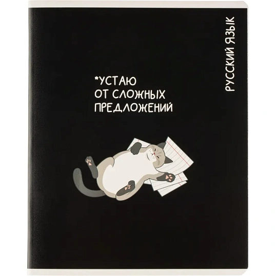 Тетрадь предметная КОТЫ МЕМЫ, набор12 шт.48л,А5+, клетка/линия/71449
