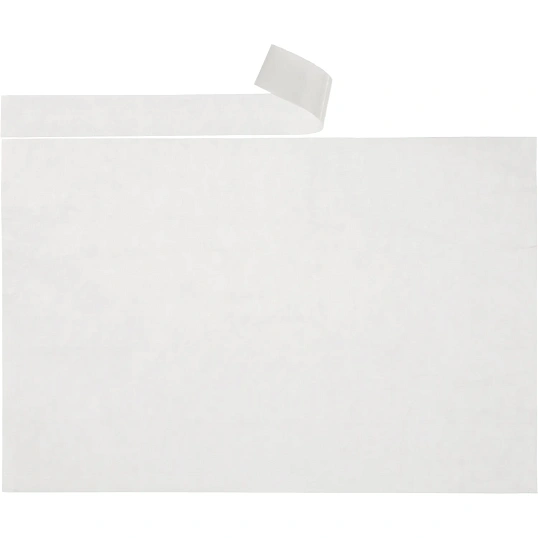 Пакет для сопр.док из прозр. п/э ldpe 240х180+15 стрип мкм SafeDoc 250шт/уп