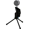 Микрофон Ritmix RDM-127 USB Black