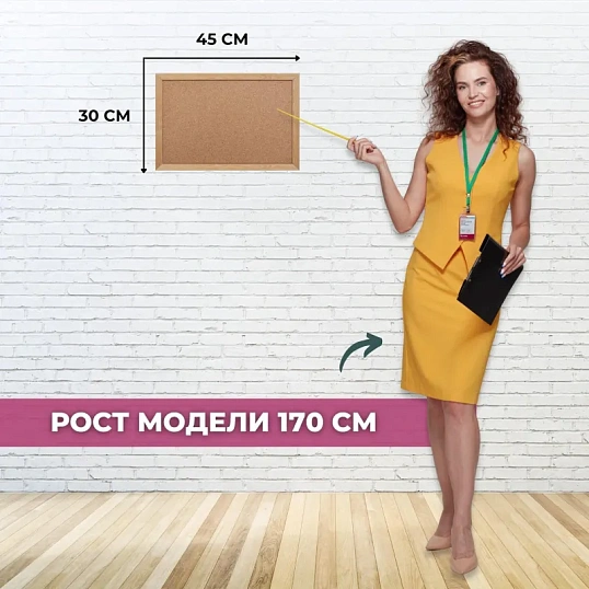 Доска пробковая 30х45 Attache Economy, деревянная рама