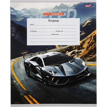 Тетрадь линия 12л. Авто и пэйзаж, ассорти, 2 (12-5571)